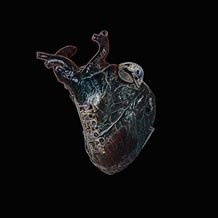 Seamus Blake Guardians Of The Heart Machine